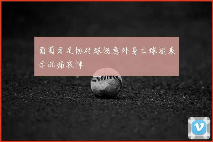 葡萄牙足协对球场意外身亡球迷表示沉痛哀悼