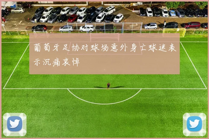 葡萄牙足协对球场意外身亡球迷表示沉痛哀悼